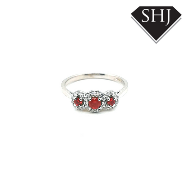 9ct White Gold Ruby and Diamond 3 Stone Ring
