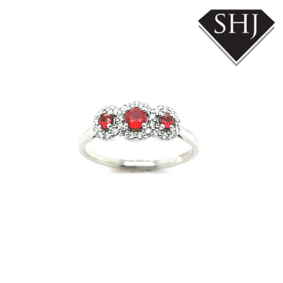 9ct White Gold Ruby and Diamond 3 Stone Ring
